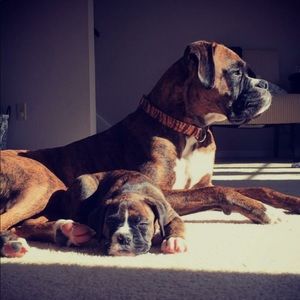 Meet your Posher, Nick